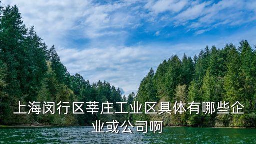  上海閔行區(qū)莘莊工業(yè)區(qū)具體有哪些企業(yè)或公司啊
