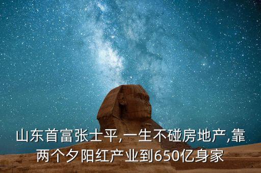 山東首富張士平,一生不碰房地產(chǎn),靠兩個夕陽紅產(chǎn)業(yè)到650億身家