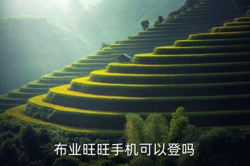 布業(yè)旺旺手機(jī)可以登嗎