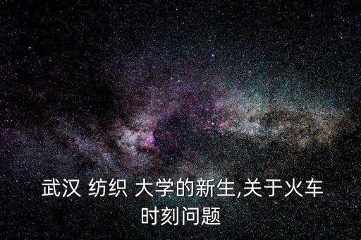 武漢紡織大學學生會
