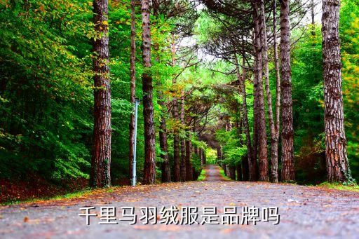 千里馬羽絨服是品牌嗎