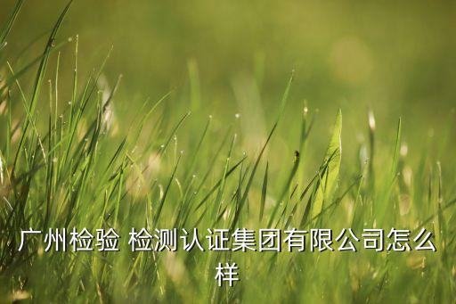 廣州檢驗(yàn) 檢測(cè)認(rèn)證集團(tuán)有限公司怎么樣