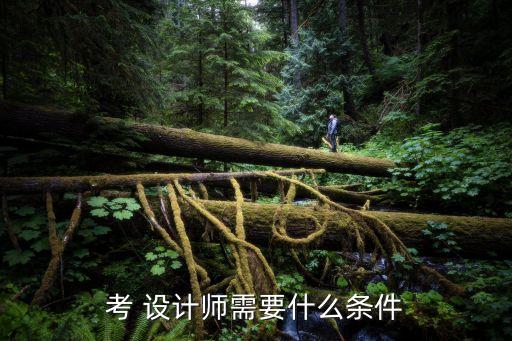 考 設(shè)計(jì)師需要什么條件