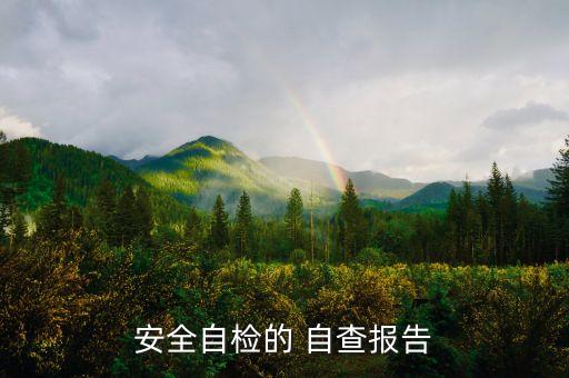 武漢紡織大學(xué)創(chuàng)建平安校園自查自評報告