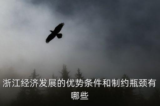浙江經(jīng)濟(jì)發(fā)展的優(yōu)勢條件和制約瓶頸有哪些
