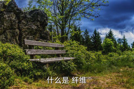 什么是 纖維