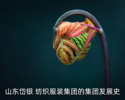 紡織企業(yè) 改制,集體企業(yè)為什么要改制