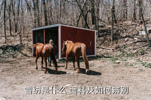  雪紡是什么 面料及如何辨別