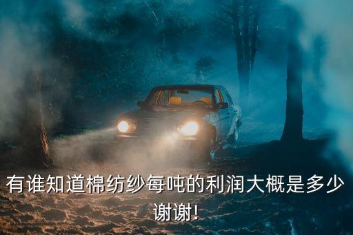 新疆棉花紡織廠