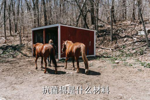 山西紡織品皮革抗菌劑