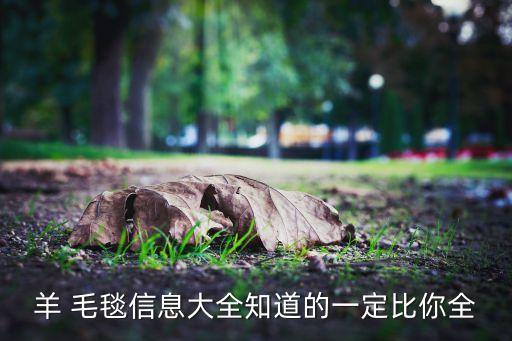 毛毯面料批發(fā)市場價格,珊瑚絨面料批發(fā)市場價格