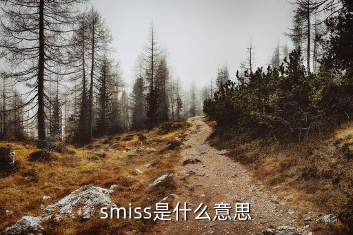 無(wú)錫絲密斯科技有限公司,無(wú)錫蜂巢能源科技有限公司