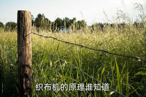 紡織羅拉生產(chǎn)工藝,紡織印染助劑生產(chǎn)工藝流程