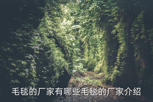 毛毯的廠家有哪些毛毯的廠家介紹