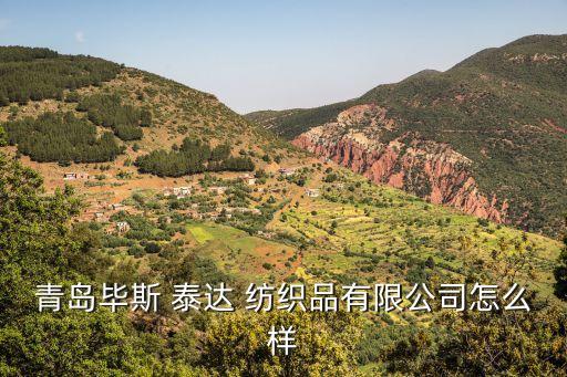 山東泰達(dá)紡織,泰達(dá)紡織有限公司