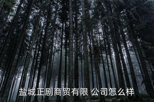 鹽城正劇商貿(mào)有限 公司怎么樣