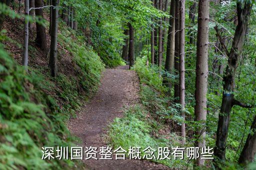 深圳國(guó)資整合概念股有哪些