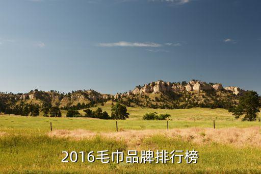 2016毛巾品牌排行榜