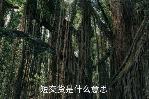 短交貨是什么意思