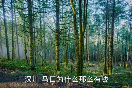  漢川 馬口為什么那么有錢