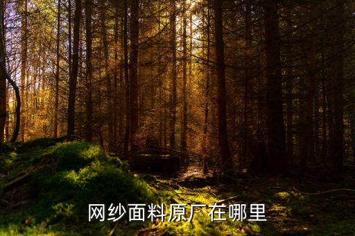 網(wǎng)紗面料原廠在哪里