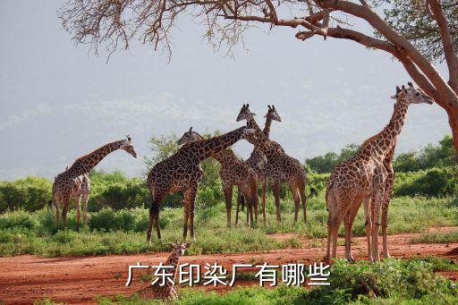 廣東印染廠有哪些