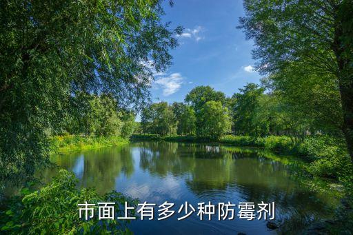 市面上有多少種防霉劑