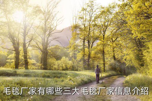 毛毯廠家有哪些三大毛毯廠家信息介紹
