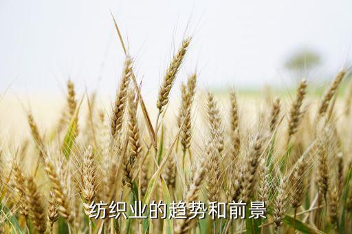  紡織業(yè)的趨勢和前景