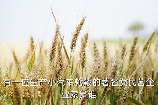 有一位生產(chǎn)小汽車輪轂的著名女民營(yíng)企業(yè)家是誰
