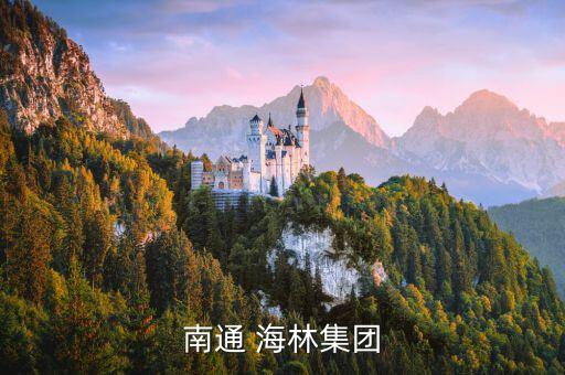 南通 海林集團(tuán)