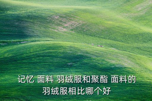 羽絨服記憶面料
