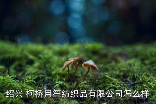 2017柯橋紡織業(yè),柯橋區(qū)紡織業(yè)發(fā)展情況