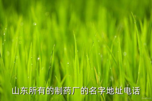 山東所有的制藥廠的名字地址電話