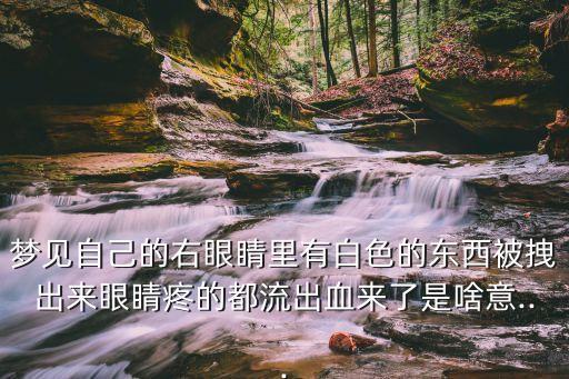 夢(mèng)見(jiàn)自己的右眼睛里有白色的東西被拽出來(lái)眼睛疼的都流出血來(lái)了是啥意...