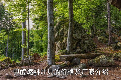 甲醇燃料灶具的價(jià)格及廠家介紹