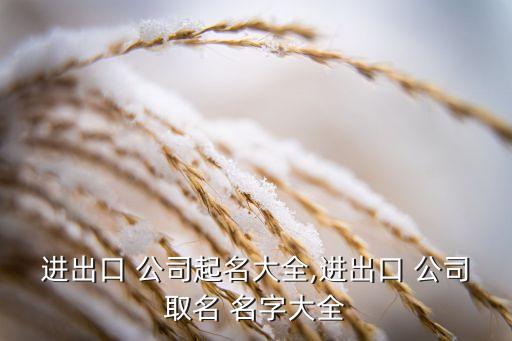 進(jìn)出口 公司起名大全,進(jìn)出口 公司取名 名字大全
