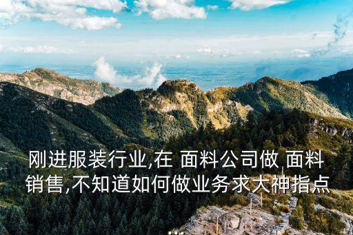 剛進(jìn)服裝行業(yè),在 面料公司做 面料 銷售,不知道如何做業(yè)務(wù)求大神指點(diǎn)...