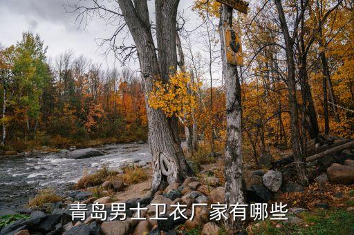  青島男士衛(wèi)衣廠家有哪些
