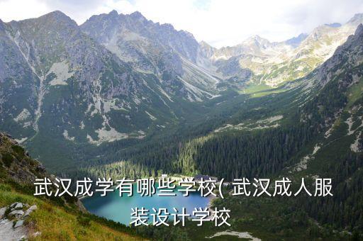  武漢成學(xué)有哪些學(xué)校( 武漢成人服裝設(shè)計(jì)學(xué)校
