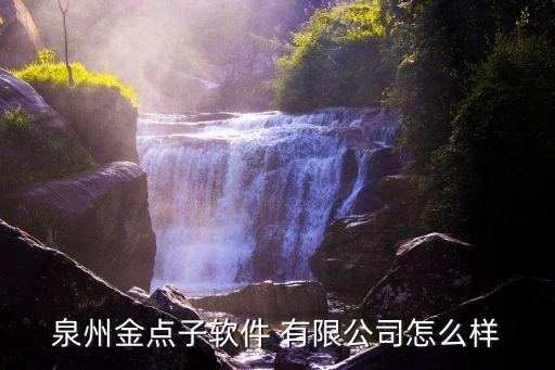 泉州金點(diǎn)子軟件 有限公司怎么樣