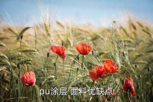 pu涂層 面料優(yōu)缺點(diǎn)