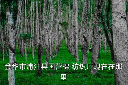 金華市浦江縣國(guó)營(yíng)棉 紡織廠現(xiàn)在在那里