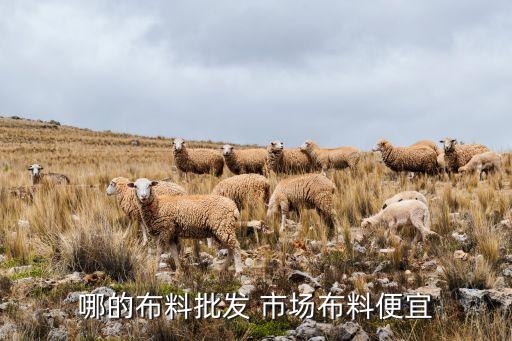 哪的布料批發(fā) 市場布料便宜