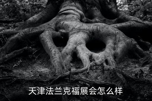 天津法蘭克福展會怎么樣