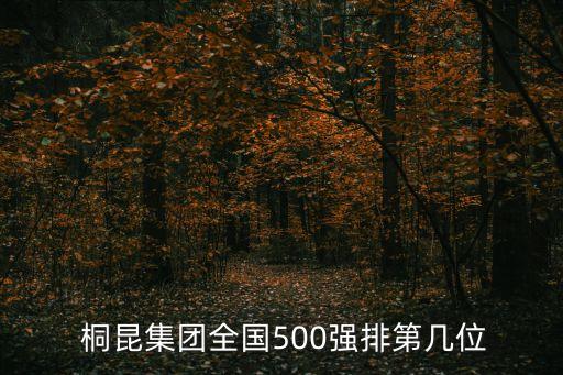  桐昆集團全國500強排第幾位