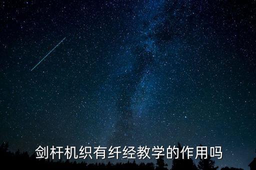  劍桿機(jī)織有纖經(jīng)教學(xué)的作用嗎