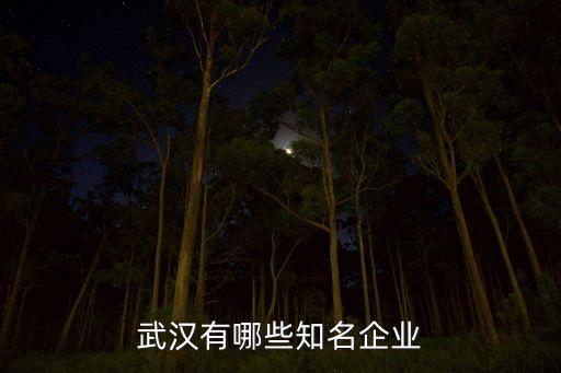 武漢有哪些知名企業(yè)