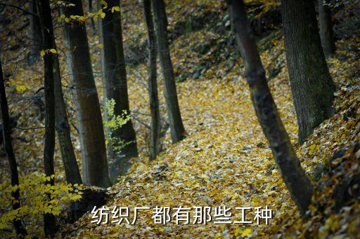  紡織廠都有那些工種