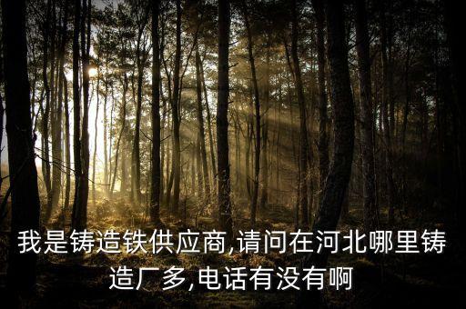 我是鑄造鐵供應(yīng)商,請(qǐng)問(wèn)在河北哪里鑄造廠多,電話有沒(méi)有啊